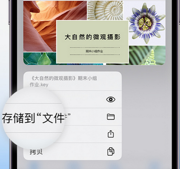 荆门apple维修中心分享iPhone文件应用中存储和找到下载文件