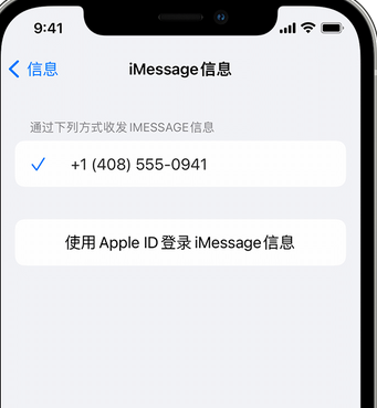 荆门apple维修iPhone上无法正常发送iMessage信息 