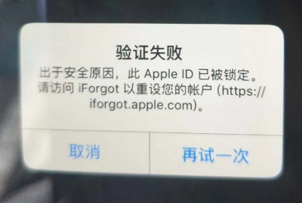 荆门iPhone维修分享iPhone上正常登录或使用AppleID怎么办 