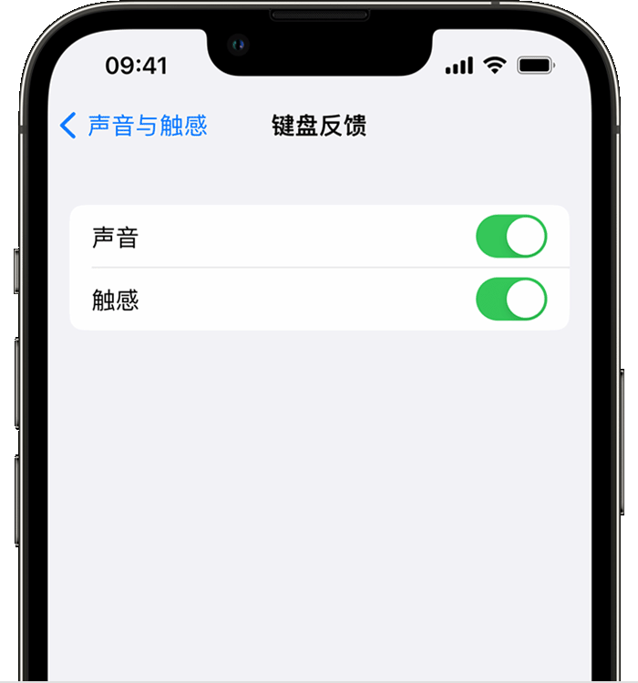 荆门苹果14维修店分享如何在 iPhone 14 机型中使用触感键盘 