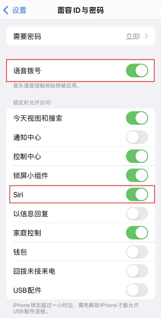 荆门苹果维修网点分享不解锁 iPhone 的情况下通过 Siri 拨打电话的方法 