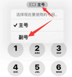 荆门苹果14维修店分享iPhone 14 Pro Max使用副卡打电话的方法 