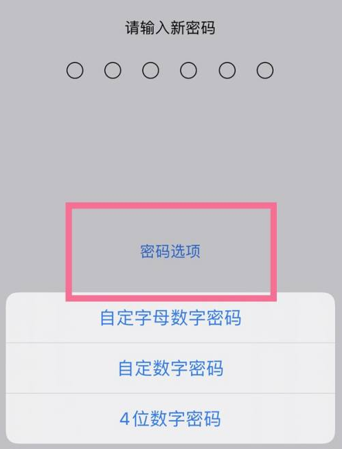 荆门苹果14维修分享iPhone 14plus设置密码的方法 