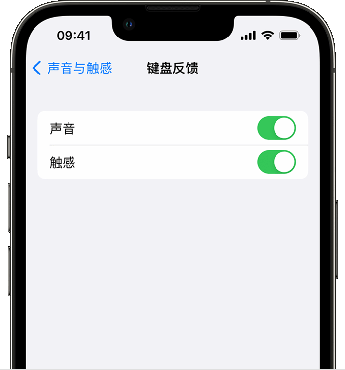 荆门苹果14维修分享iPhone 14 系列机型如何开启键盘声音或触感反馈 