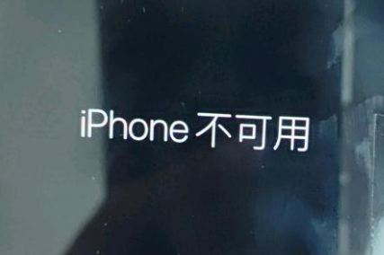 荆门苹果服务网点分享锁屏界面显示“iPhone 不可用”如何解决 