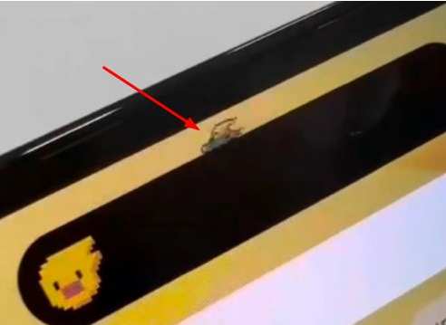 荆门苹果14维修分享iPhone 14 Pro Max灵动岛怎么养宠物 