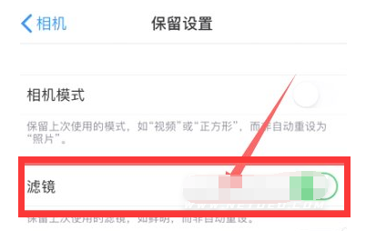 荆门苹果13维修分享iPhone13拍照有绿点是怎么回事 