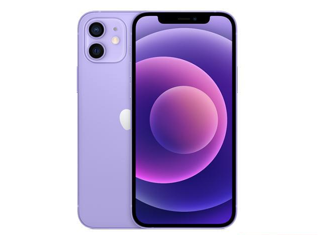 荆门苹果手机维修分享现阶段要不要入手紫色版iPhone12 
