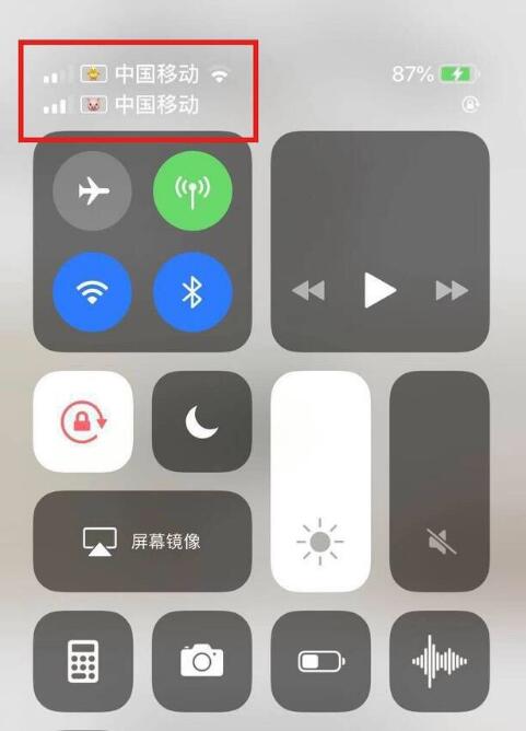 荆门苹果手机维修分享为 iPhone 12 双卡设置标签 
