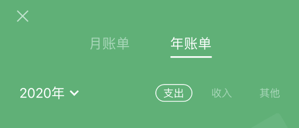 荆门苹果手机维修分享如何在 iPhone 上查看支付宝和微信年支出账单 