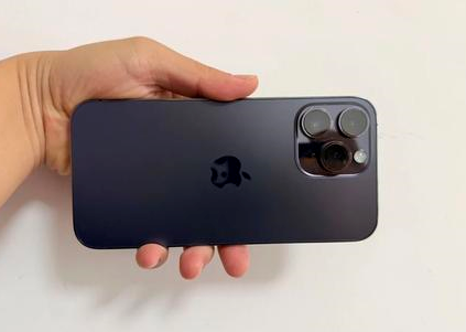 荆门苹果维修点分享iPhone 14 Pro Max黑屏少见故障盘点 